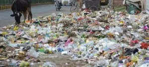 publive-image