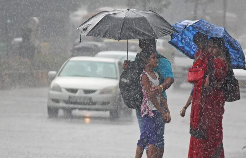 Monsoon revives in Odisha, heavy rainfall predicted | Sambad English