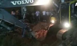 publive-image