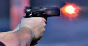 publive-image