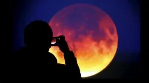publive-image