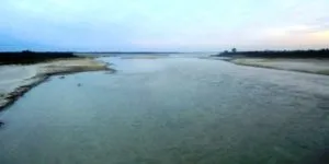 publive-image