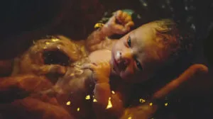 publive-image