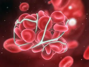 publive-image