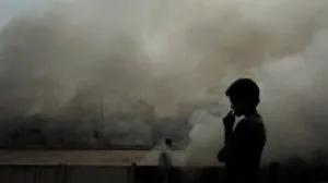 publive-image