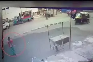 publive-image
