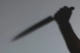 publive-image
