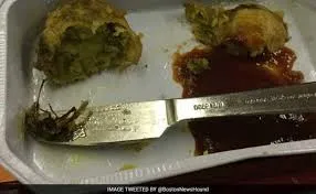 publive-image