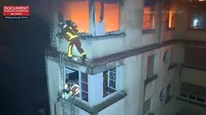 publive-image