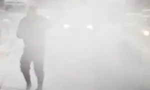 publive-image