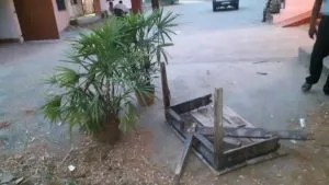 publive-image