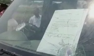 publive-image