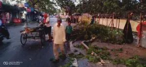 publive-image