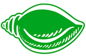 publive-image