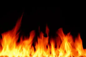 publive-image