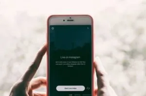 publive-image