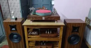 publive-image
