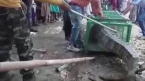 publive-image