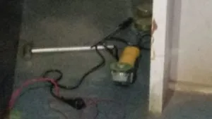 publive-image