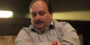 publive-image
