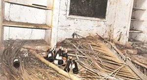 publive-image