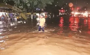 publive-image