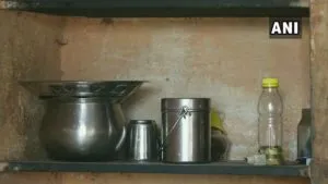 publive-image