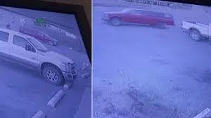 publive-image