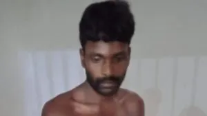 publive-image