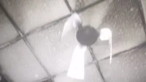 publive-image