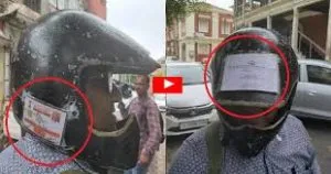 publive-image