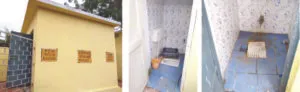 publive-image