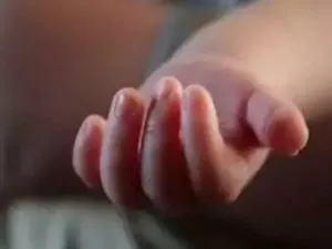 publive-image