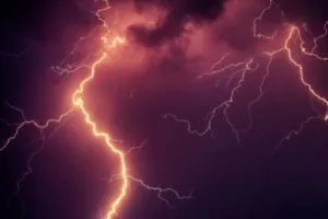 publive-image