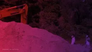 publive-image