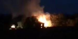 publive-image