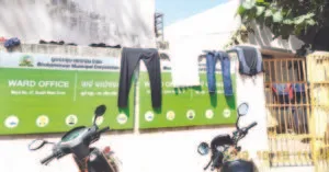 publive-image
