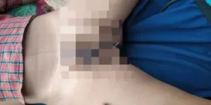publive-image