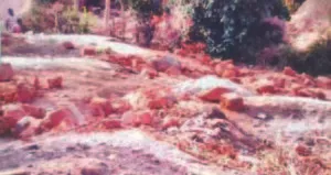 publive-image