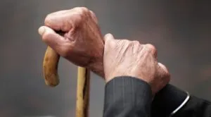 publive-image