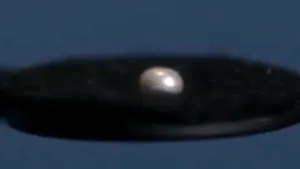 publive-image