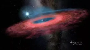 publive-image
