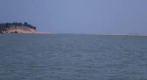 publive-image