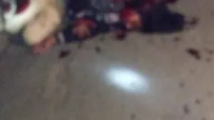 publive-image