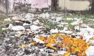 publive-image