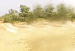 publive-image