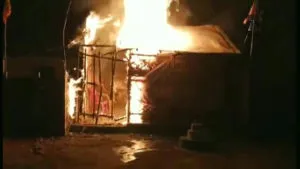 publive-image