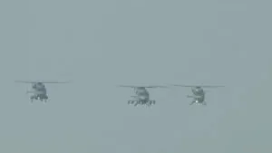 publive-image