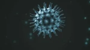 publive-image