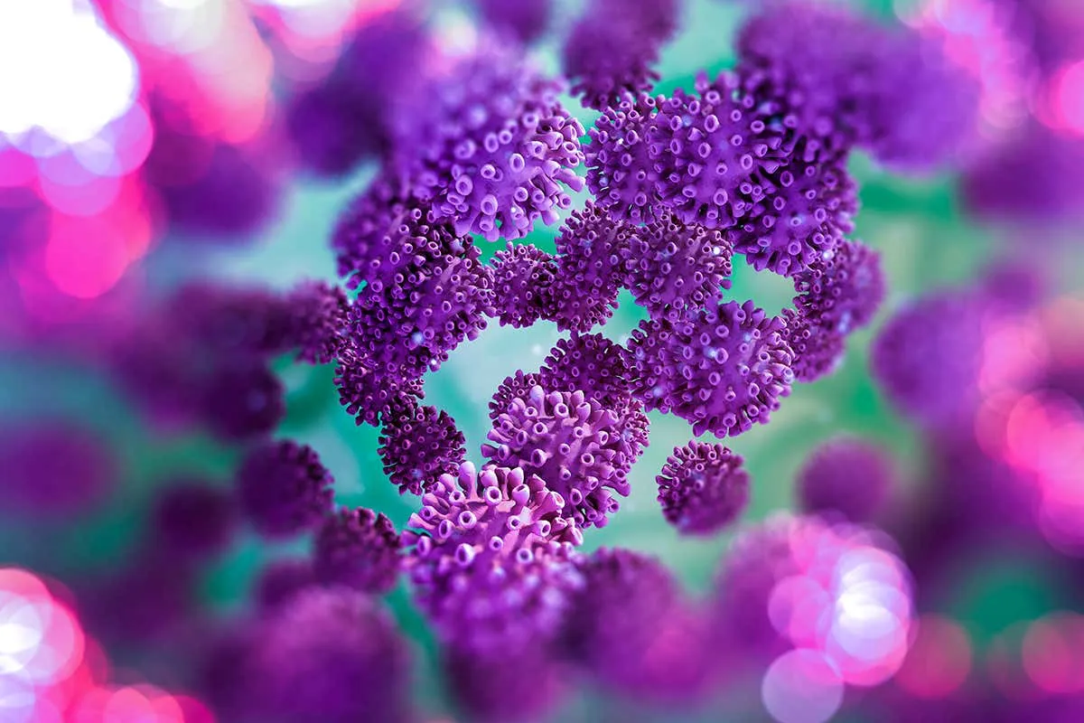 Does a high viral load or infectious dose make covid-19 worse? | New Scientist